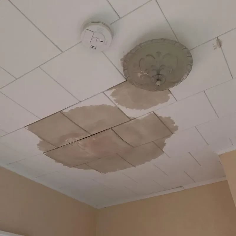 Ceiling Water Damage Repair in West Homestead, PA