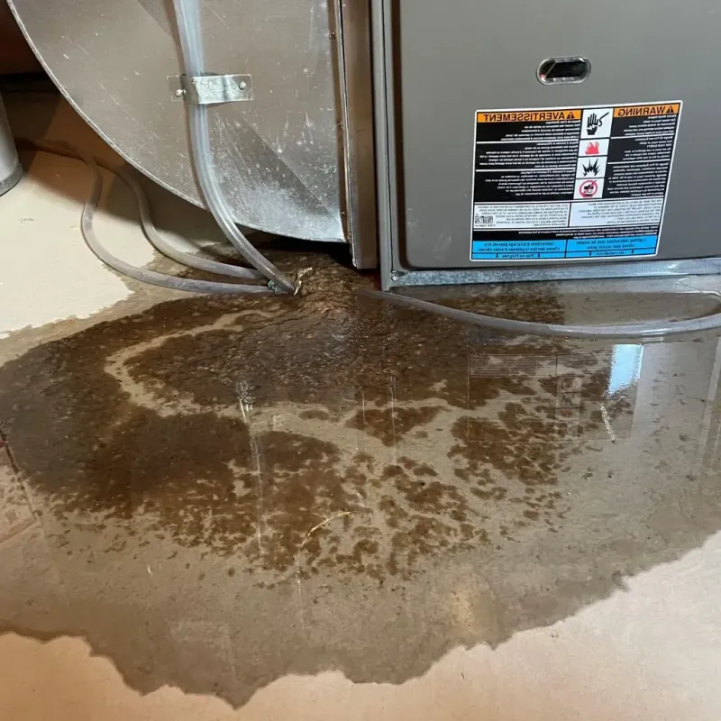 Pipe Burst and Leak Restoration in West Homestead, PA